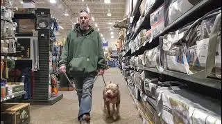 Xl Bully dog training | dog obedience school | large dog breed training | puppy training | OBKS 