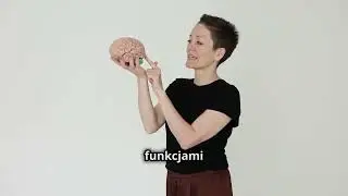 BAPNE w edukacji. Uzasadnienie metodologii