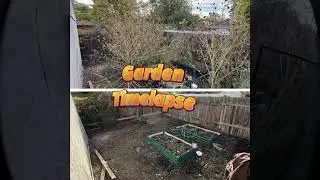 Garden Reset 🌻🌿 Clearing the way for next spring&rsquo;s growth!