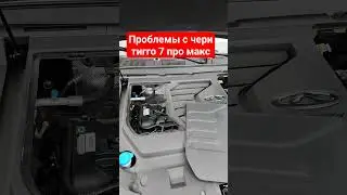 проблемы с chery tiggo 7 pro max за 2 месяца эксплуатации У чери тигго 7 про макс нет косяков?