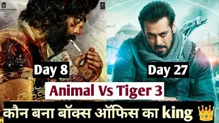 Animal Vs Tiger 3 Box Office Collection/Animal Day 8 Worldwide Collection/Ranbir Kapoor/Salman Khan