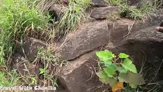 Gerandigala &hearts;️ Amazing Hiking Experience