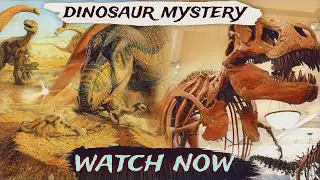 Shocking Discoveries: Dinosaur extinction Explained #dinosaurextinction