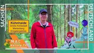 Moorlehrpfad Stengelhaide  | 📍#K&uuml;hnhaide #Erzgebirge