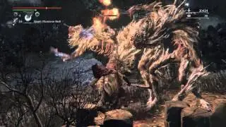 Bloodborne&trade;this is why this game sucks