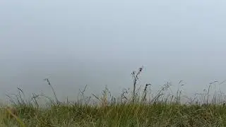 Rob Lewis - Day by Day (The Ambient Zone)