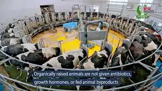 Organic Food - 35th IAF World Fashion Convention