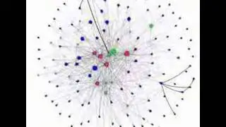 network layout
