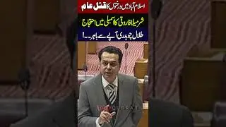Sharmila Farooqi&rsquo;s Powerful Speech on Islamabad Trees Cutting in National Assembly Talal Chaudhry