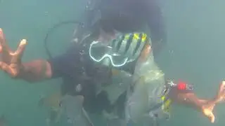 Scuba Diving in Goa 2026 | Samunder Ke Andar Ki Duniya 🌊🤿
