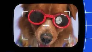 Retro Camera Frame - Funny Dog Video Template