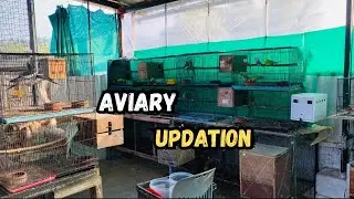 New aviary updation🥰#youtubevideos #ytshorts #trending #reelsinstagram #rells  #subscribemychannel