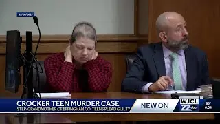 Step-grandmother sentenced to life in prison for murder of Effingham County siblings
