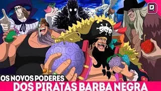 REVELADO O PODER DOS PIRATAS BARBA NEGRA - TODAS AS NOVAS AKUMAS NO MI EXPLICADAS - ONE PIECE 1093