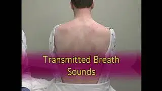 physical exam pulmonary 2
