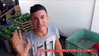 Anguria 
