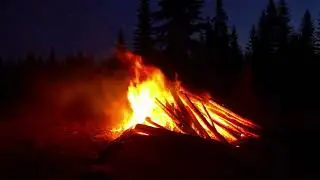 Relaxing Fireplace Sounds | Crackling Fire Ambience | 1 Hour