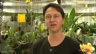 8 - Astuce jardinage : multiplier les plantes grasses