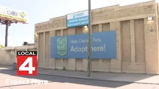 Detroit Animal Care and Control reaches capacity with over 200 dogs
