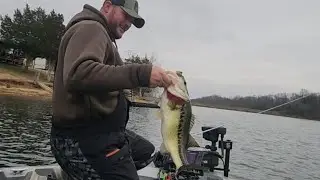 Winter bass fishing limit!
