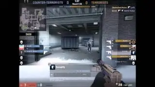 CS:GO Minitage By Turtle