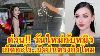 เกิดอะไรขึ้น!! วันใหม่ กับ หมิว ชลธิชา พี่กชทำไมถึงรีบมาโดม ถึงกับต้องสั่งด่วน#สาวน้อยเพชรบ้านแพง 