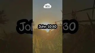 A Bible verse about Jesus Christ ✝️ John 10:30