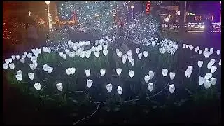 Световой Капитолий 2025