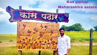 Kas pathar satara valley of flowers / कास पठार सातारा /