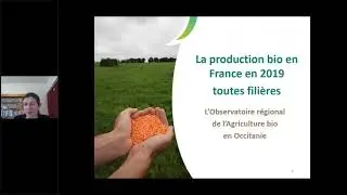 Raisin de table Bio d'Occitanie