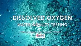 Dissolved Oxygen: Water Quality Testing