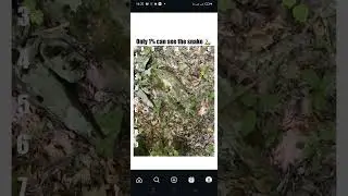 #Snake #Puzzle #Mind #Game #FindIt #Hidden #Wild #Nature #Challenge #Viral