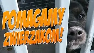 POMAGAMY ZWIERZAKOM!