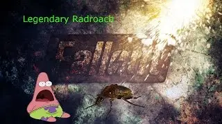 Fallout 4 Legendary Creature guide: Legendary Radroach