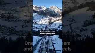 This view feels like a warm hug 🚂❄️ | Swiss Winter Magic #SwissAlps #WinterAesthetic #SoulTravel