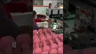 Cerdatec Production Process of Vinyl Dumbbell