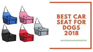 Best Car Seat For Dogs 2018
