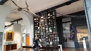 Lapworth Museum of Geology Birmingham 2022