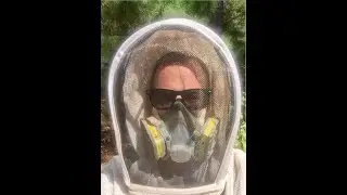 OAV Treatment for Varroa Mite