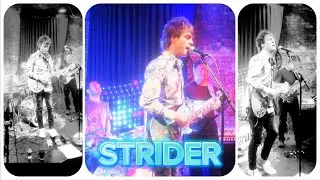 Strider by Shawn Ghost with Hari Nandu at Sleepwalk NYC, Fodera Mini MG Bass