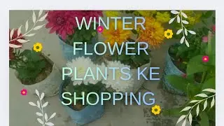 Winter flower plants ke shopping 😍😁😍☘️🌺🌹