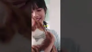 Ingridient that doubled cats lifespan