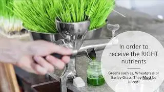 Grass Juice Difference - Paradise Herbs - ORAC Energy Greens