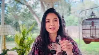 Series Video: TRONG XỨ M&Ugrave; THẰNG CHỘT L&Agrave;M VUA- TẬP 8. TRI NH&Acirc;N TRI DIỆN , BẤT TRI T&Acirc;M #TrangDinh