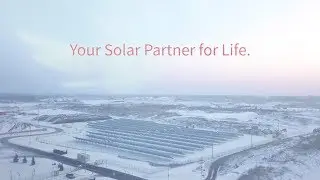 Sharp Energy Solutions creates largest PV installation in Baltic states
