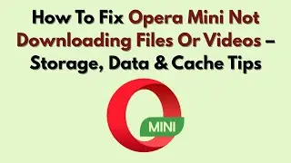 Как исправить ошибку, из-за которой Opera Mini не загружает файлы или видео: советы по хранению, ...