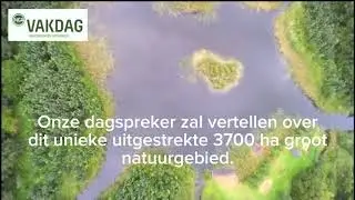 video Horsterwold