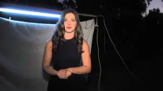 Florida Moths