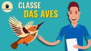 Resumo - AVES