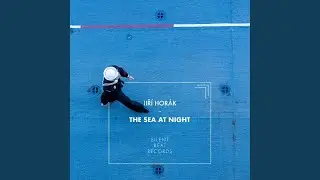 The Sea at Night